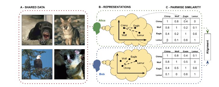 Schematic of two agents (Alice and Bob) seeing the same set of images, forming internal representations, and computing pairwise similarities; the question is whether their representations align.
